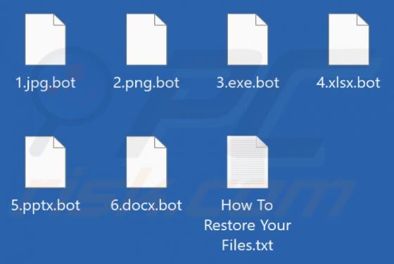 BO Team Ransomware