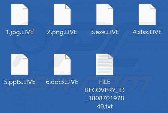 LIVE TEAM Ransomware
