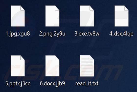 PIRAT HACKER GROUP Ransomware