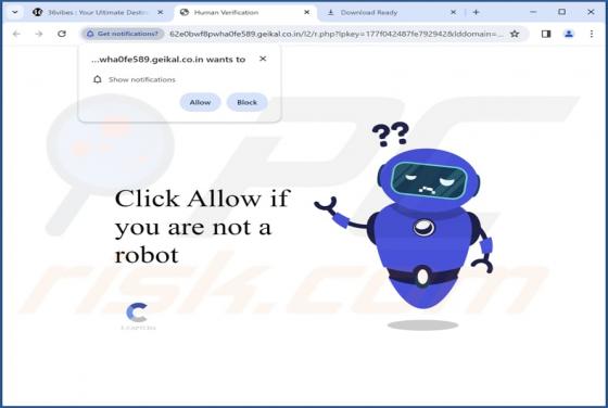 Geikal.co.in Ads