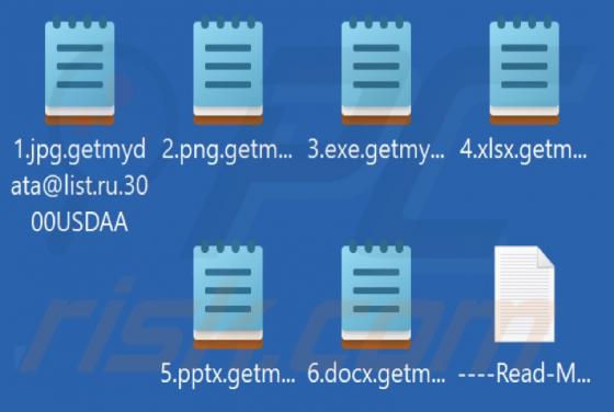 3000USDAA Ransomware