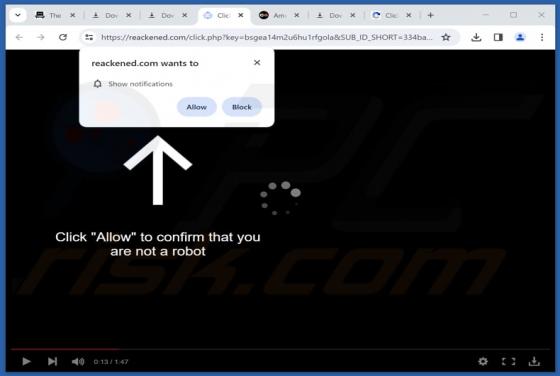 Reackened.com Ads