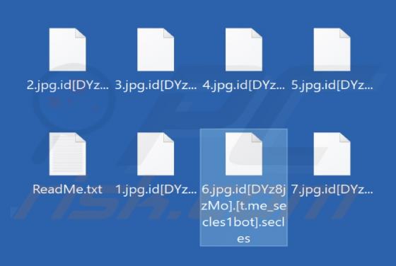 Secles Ransomware