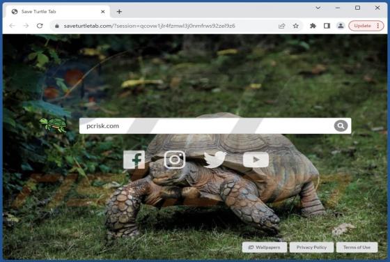 Save Turtle Tab Browser Hijacker