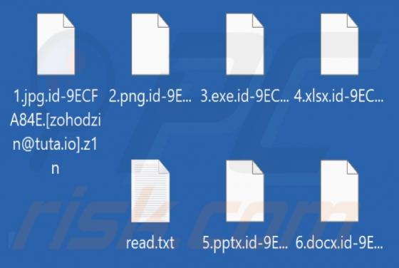 Z1n Ransomware