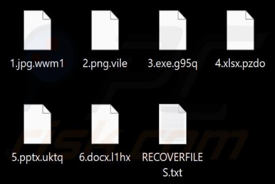 TransCrypt Ransomware