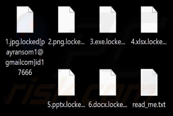 XznShirkiCry Ransomware
