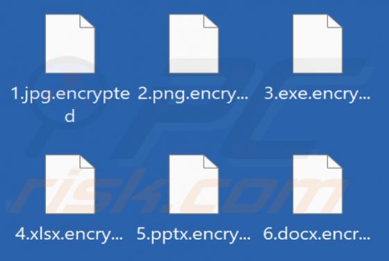 Taliban Skull Ransomware