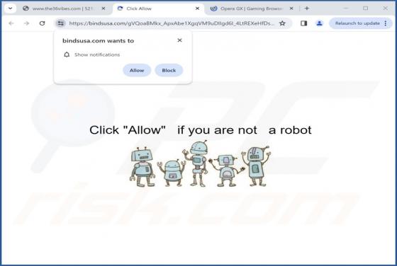 Bindsusa.com Ads