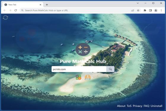 Pure MathCalc Hub Browser Hijacker