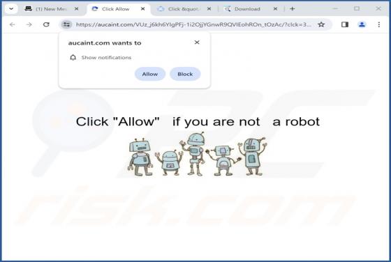 Aucaint.com Ads