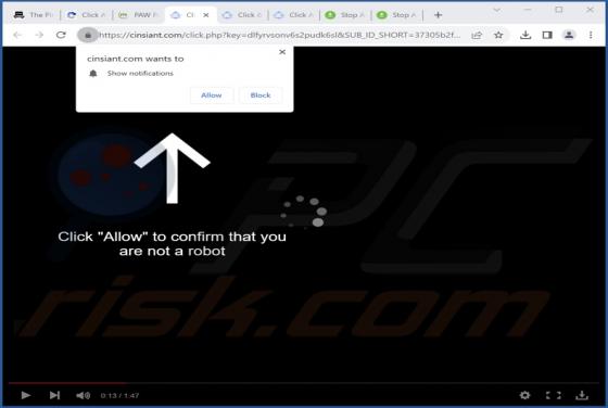 Cinsiant.com Ads