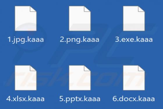 Kaaa Ransomware