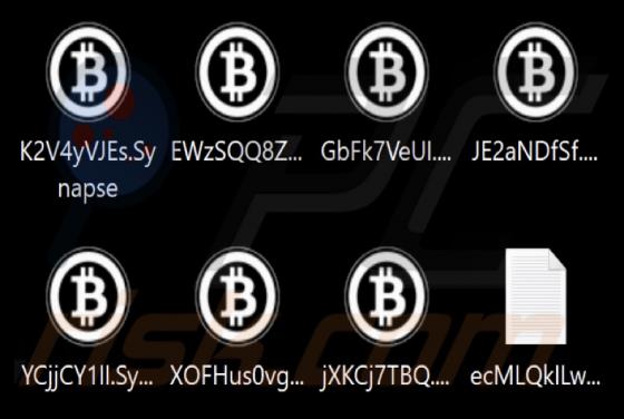 Synapse Ransomware