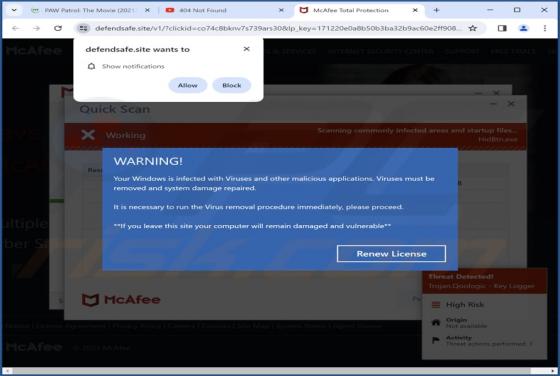 Defendsafe.site Ads