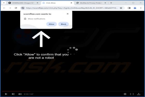 Scornflize.com Ads