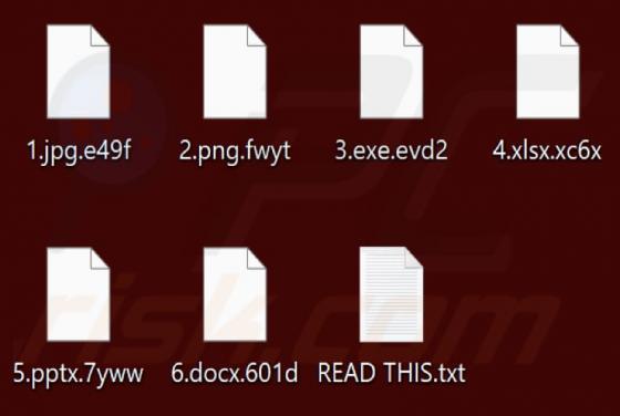 Rincrypt 2.0 Ransomware