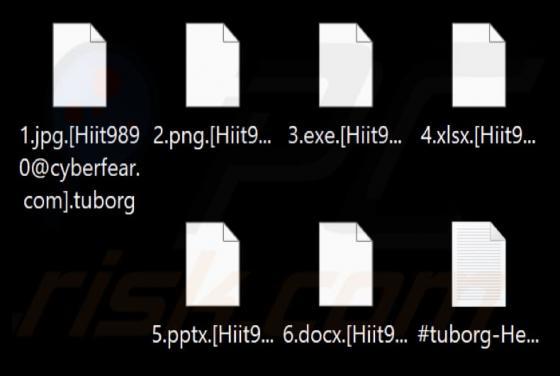 Tuborg Ransomware
