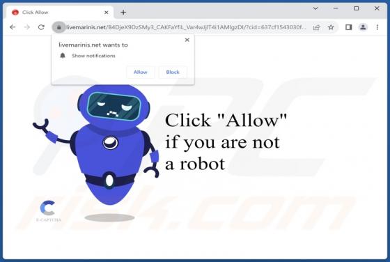 Livemarinis.net Ads