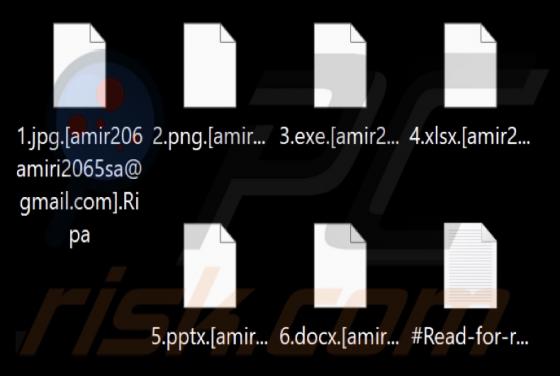 KUZA Ransomware