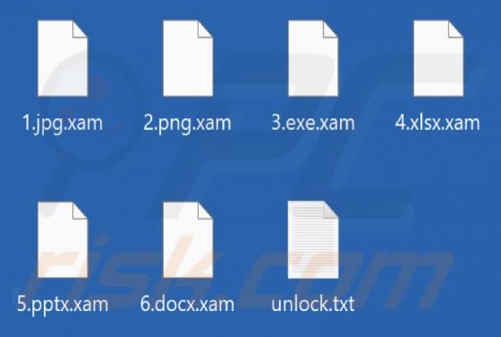 Xam Ransomware