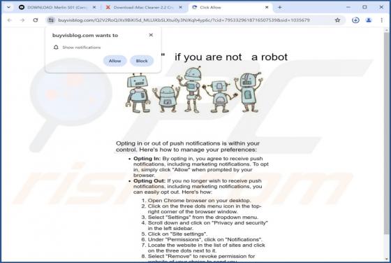 Buyvisblog.com Ads