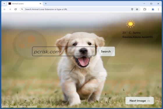 Animal-lover-extension.com Redirect