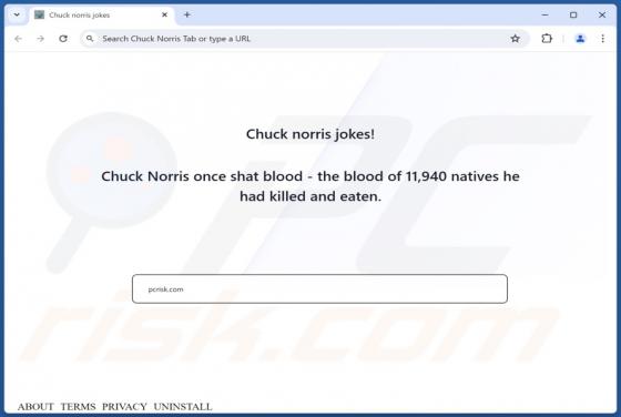 Chuck-norris-tab.com Redirect