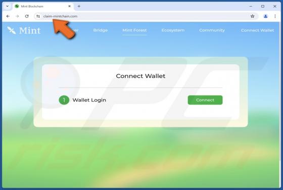 Mint Blockchain Wallet Connect Scam