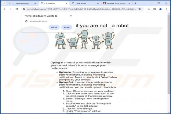 Myholobods.com Ads