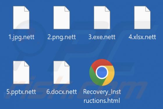 Nett Ransomware