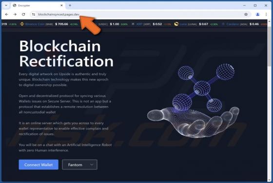 Blockchain Rectification Scam