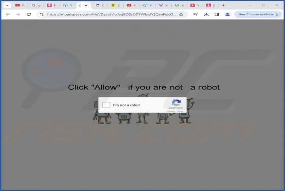 Moadspace.com Ads
