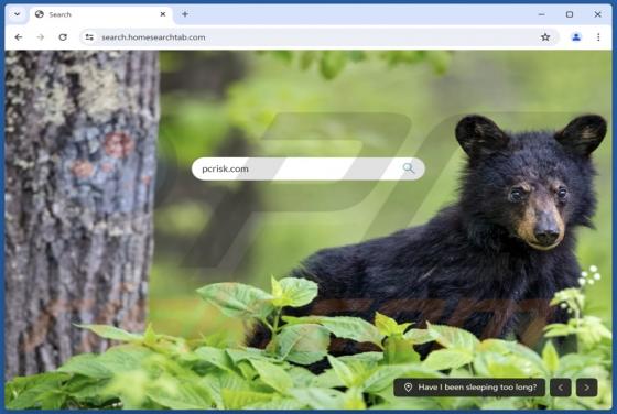 Search.homesearchtab.com Redirect
