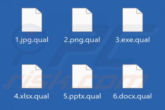 Qual Ransomware