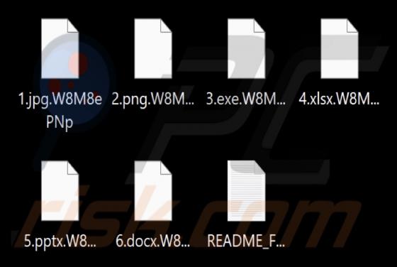 RADAR Ransomware