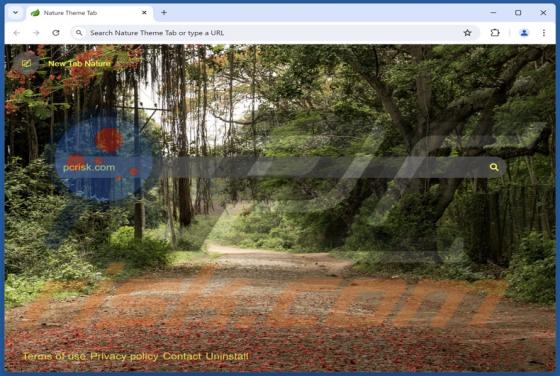 Naturethemetab.com Redirect