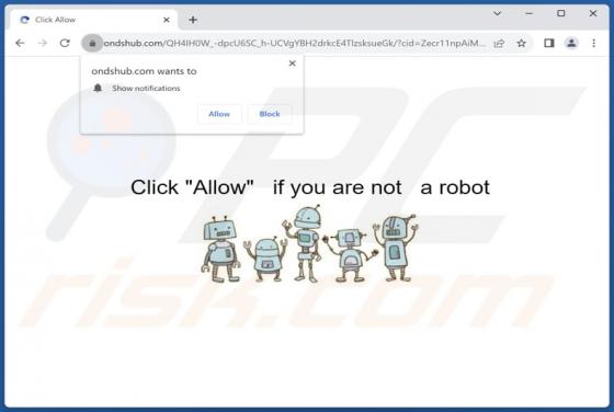 Ondshub.com Ads