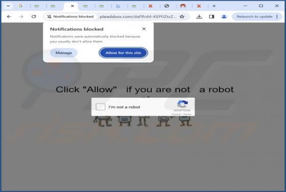 Pleadsbox.com Ads