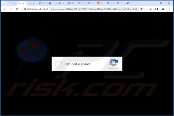 Inaszone.com Ads