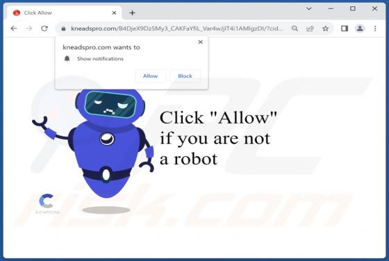 Kneadspro.com Ads