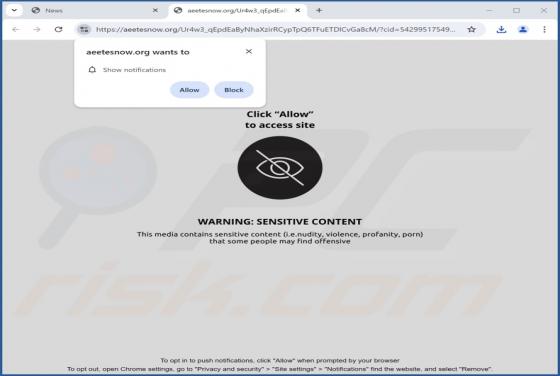 Aeetesnow.org Ads