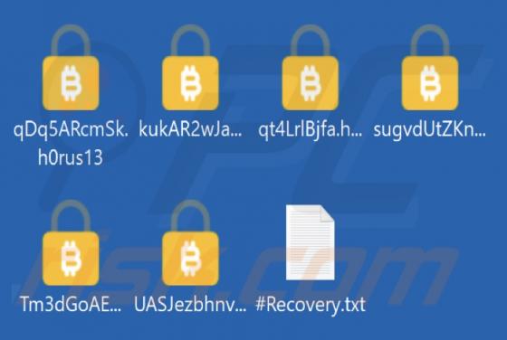 H0rus Ransomware