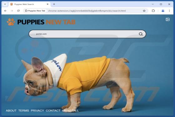 Puppiesnewtab.com Redirect