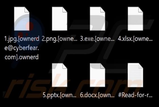 Ownerd Ransomware