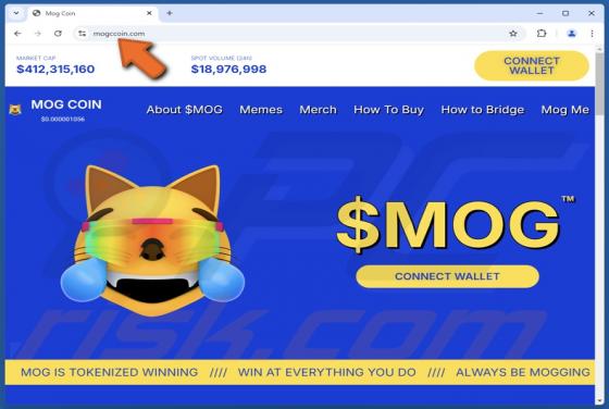 $MOG Coin Scam