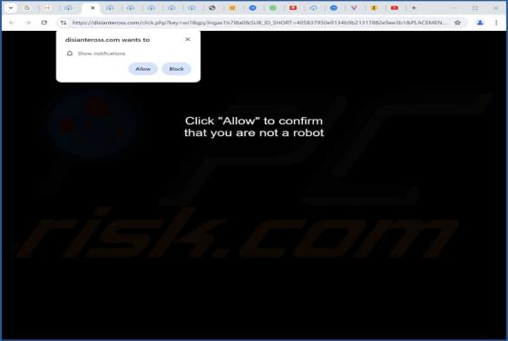 Disianteross.com Ads