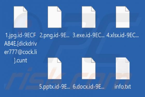 C*nt Ransomware