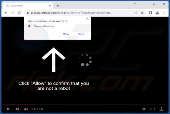 Plaucratertleed.com Ads