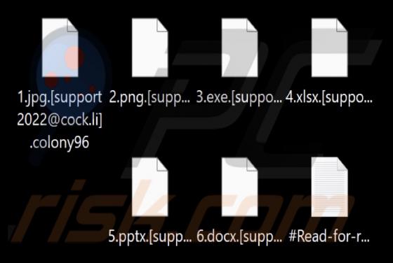 Colony Ransomware